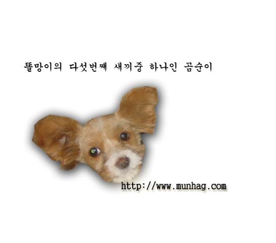 sample_22tm.jpg sample_22tm.jpg