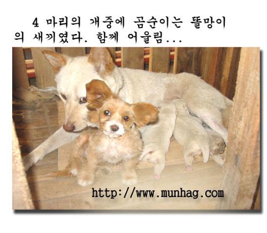 sample_25tm.jpg sample_25tm.jpg